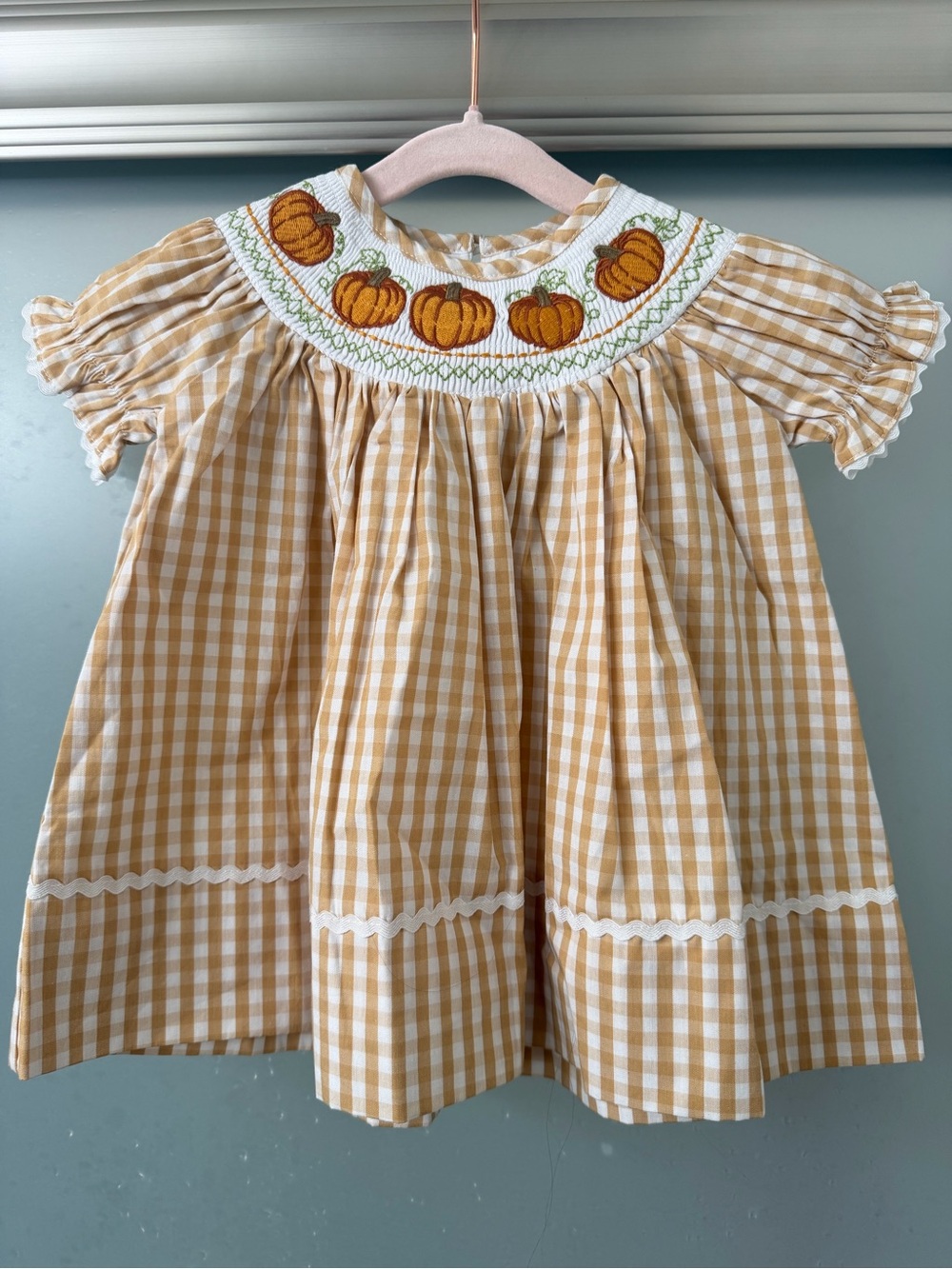 Lil Cactus Fall Gingham Pumpkin Smocked Baby Dress 3-6M